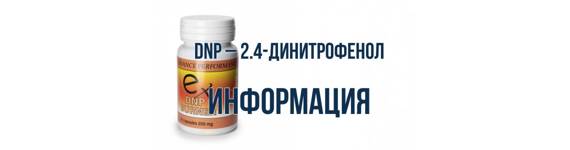 DNP (2,4-Динитрофенол)