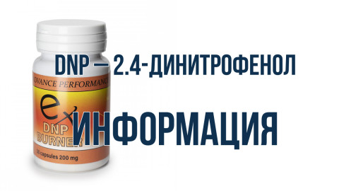 DNP (2,4-Динитрофенол)
