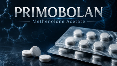 Primobolan (Примоболан / Methenolone Acetate)