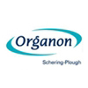 Organon