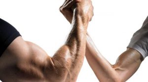forearms_sh