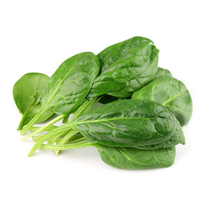 Spinach on white