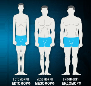 shbodytypes