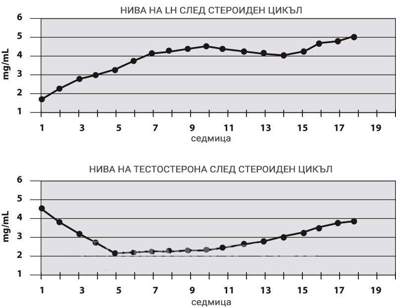 Възстановяване на LH и тестостерона след прекратяване на андрогенна експозиция